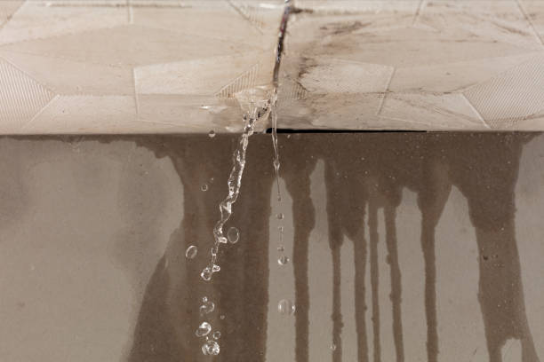 Professional Burst Pipe Cleanup technician working in Driscoll, TX
